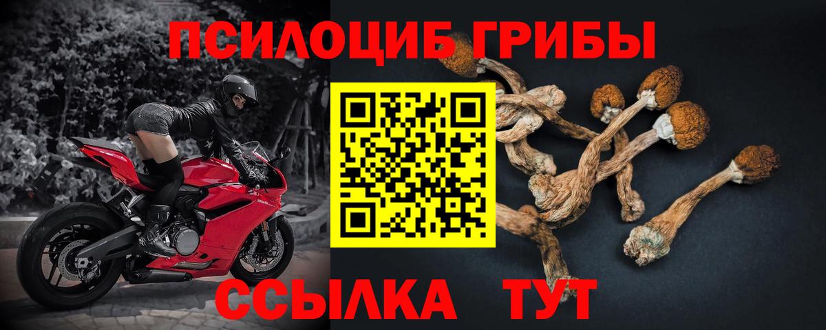 Галлюциногенные грибы Magic Shrooms  Вход с VPN  Учалы  Галлюциногенные грибы Psilocybe 